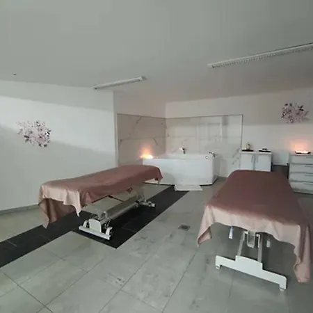 Apartma Lidija *