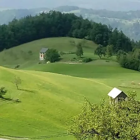 Apartma Lidija * Церкно